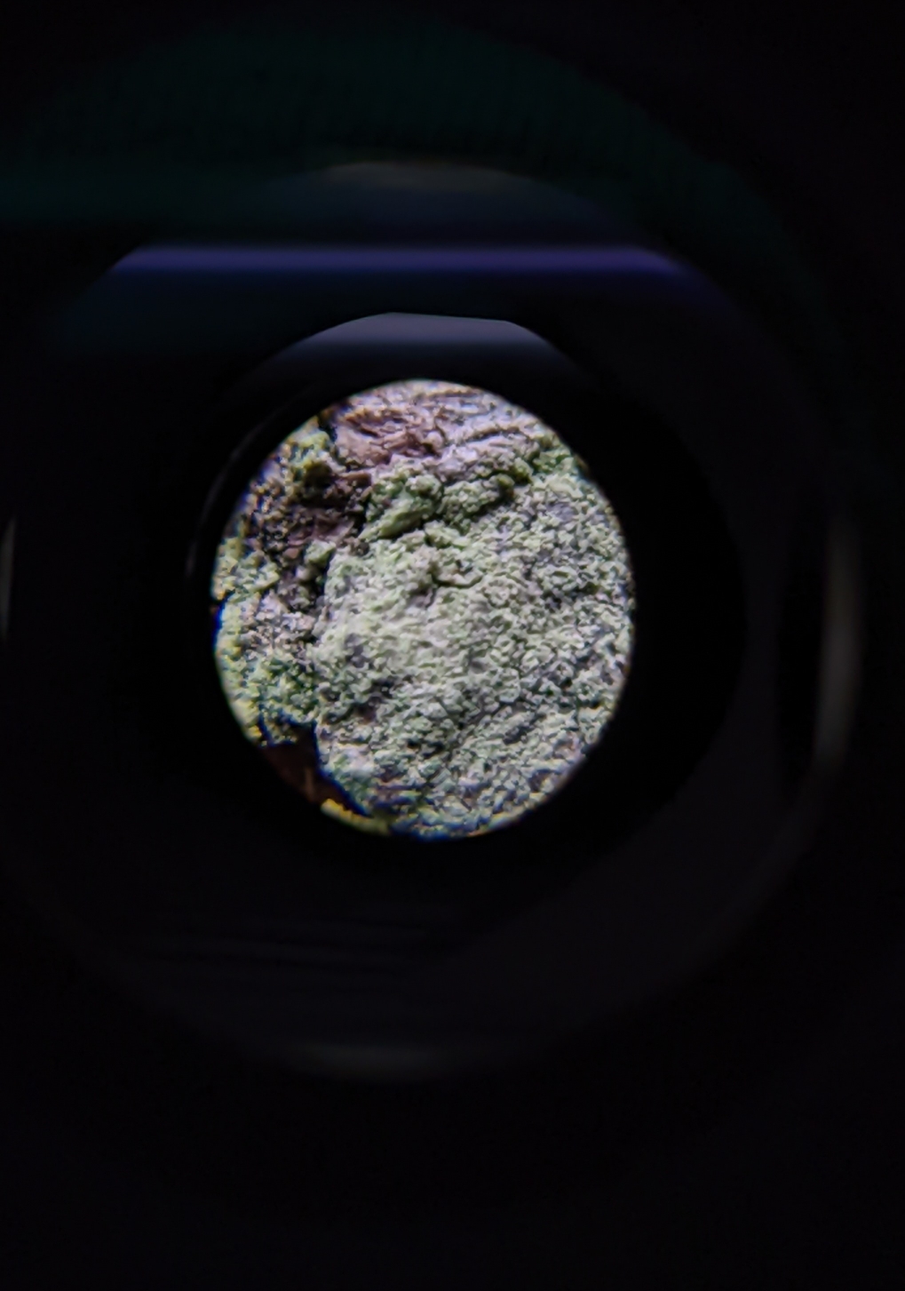 An Equal and Opposite&nbsp;Reaction