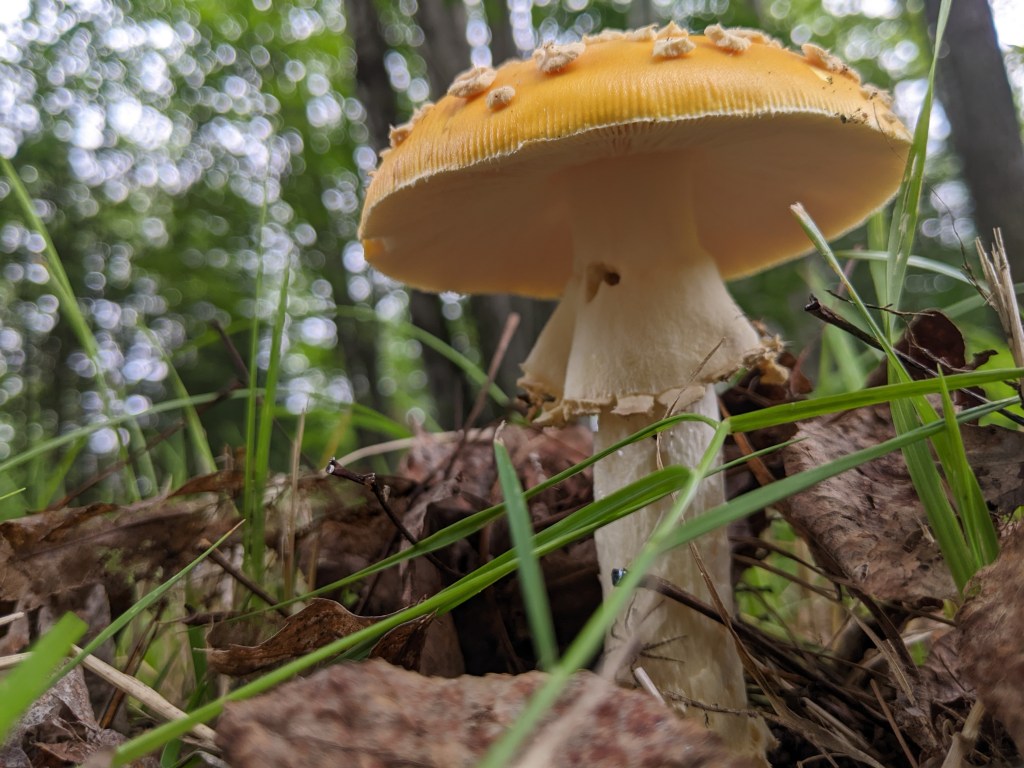 The Beats of Continuing&nbsp;On