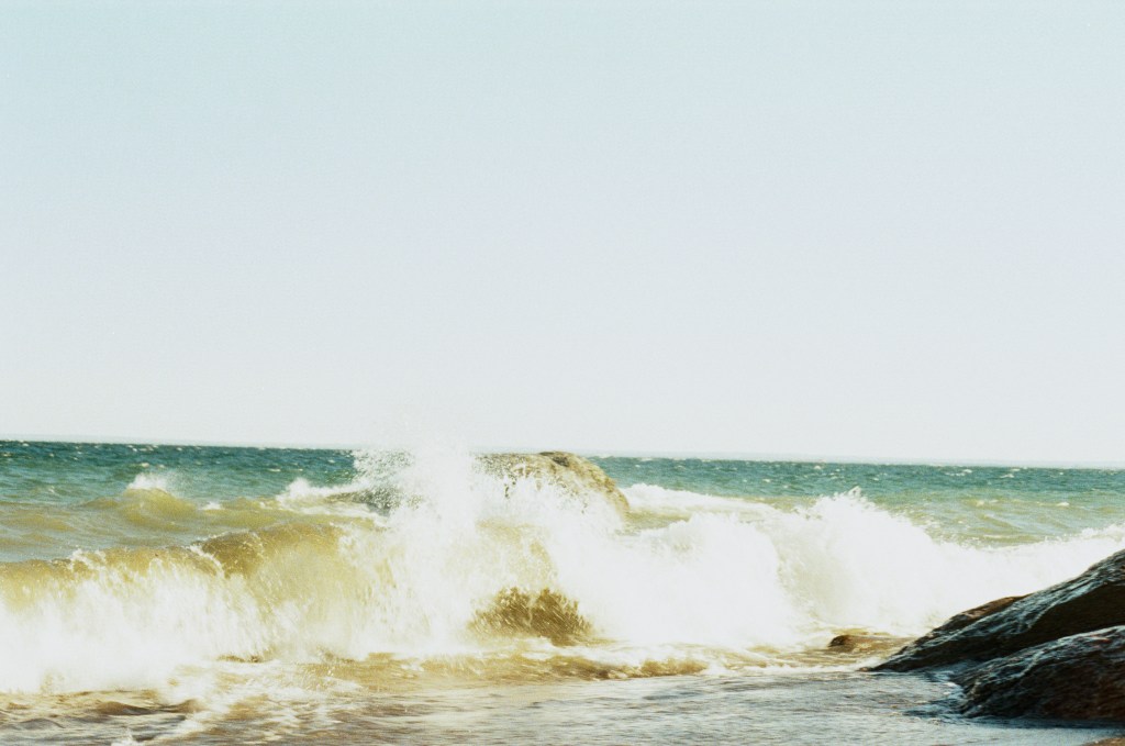 Thank God I am Not a Space&nbsp;Whale