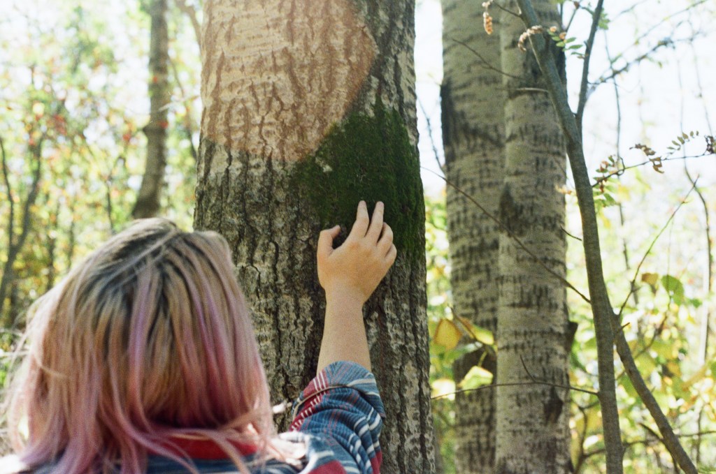 What is A&nbsp;Naturalist?